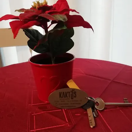 Alojamento de Acomodação e Pequeno-almoço Kaktus 4*