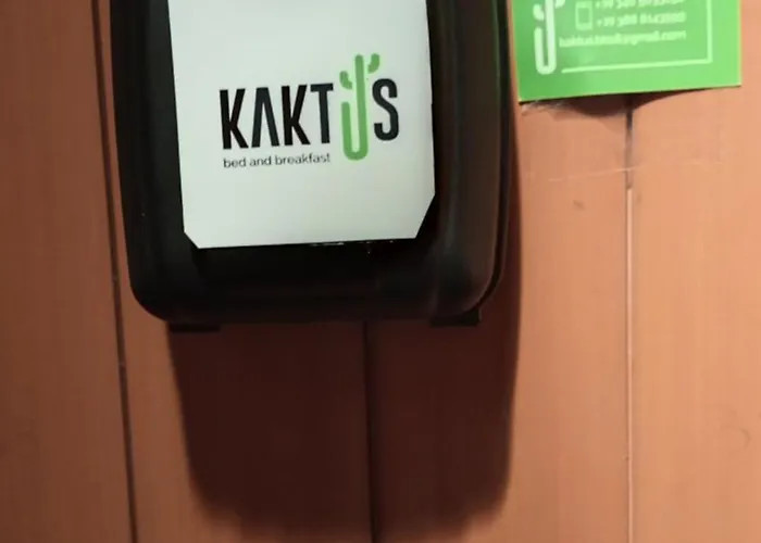 B&B Kaktus
