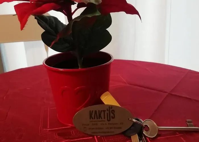 B&B Kaktus 4*