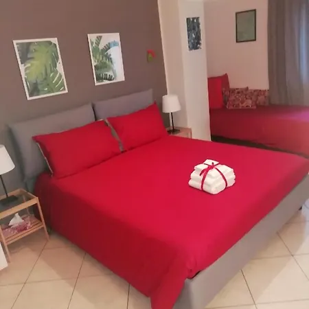 Kaktus 4*