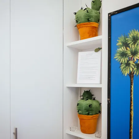 Kaktus Couette-café