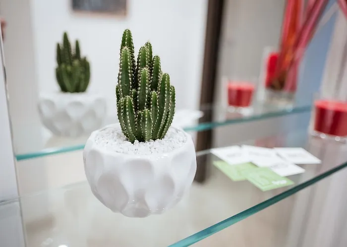 Kaktus Bed and breakfast